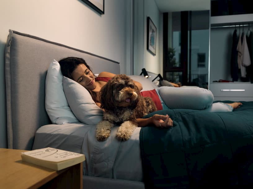 LIV apartment with dog and owner on the bed cuddling